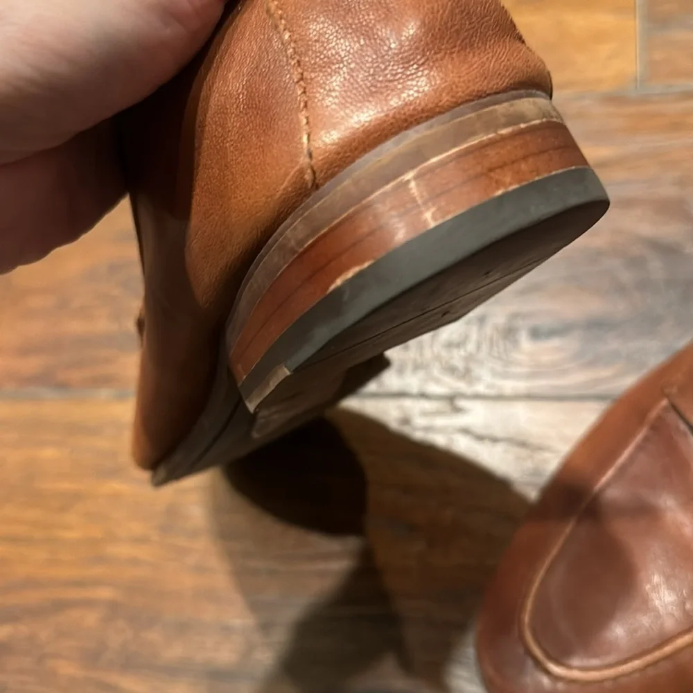 Aldo perk up